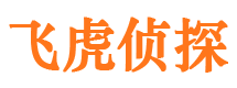 仙游私家调查公司